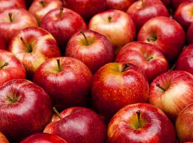 Рясний урожай на Закарпатті: фермери оголосили народний збір яблук