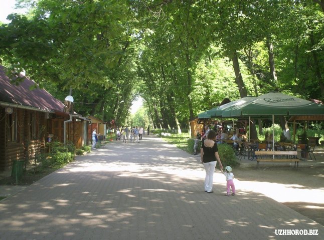 Директора Боздошського парку в Ужгороді чекає звільнення