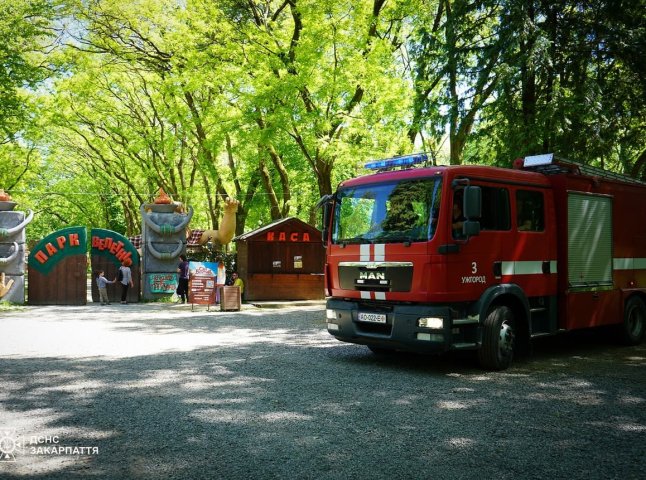 Закарпатські рятувальники розповіли про пожежу на території парку