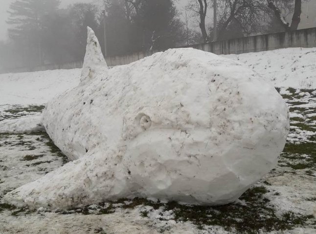 Сніжно-білий Мобі Дік: у Мукачеві невідомі зліпили величезну снігову скульптуру 