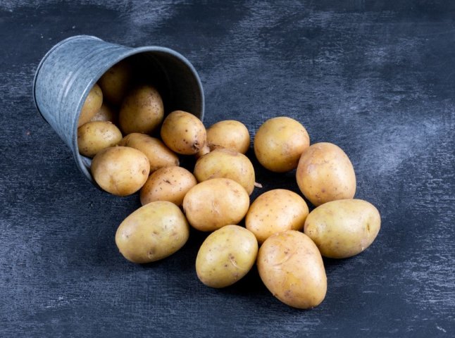 Більше не треба імпортувати: врожай популярного овочу зріс удвічі