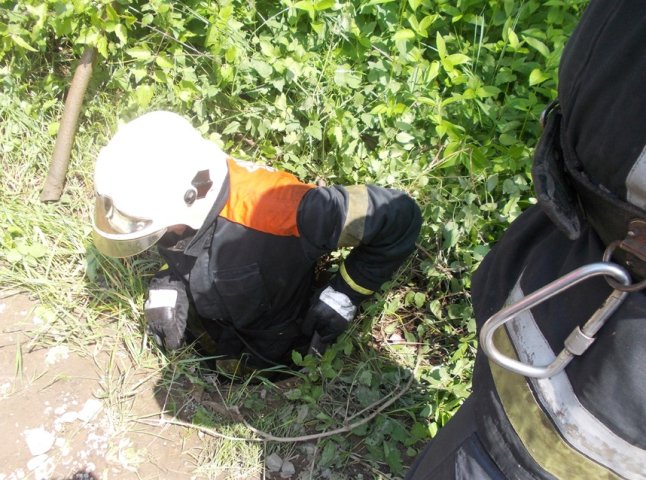 Ужгородські рятувальники визволили цуценя з каналізаційного колодязя (ВІДЕО)