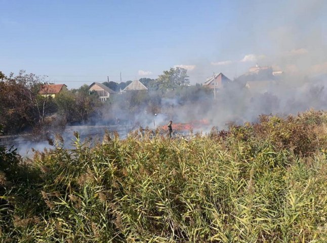 Пожежа у Мукачеві: на місце викликали рятувальників та пожежний потяг