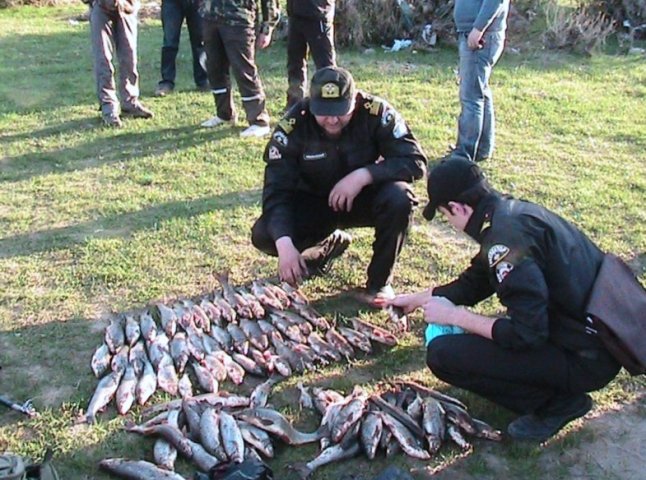 У зв’язку зі зменшенням риби у закарпатських річках, рибоохорона дедалі частіше організовує рейди по виявленню браконьєрів