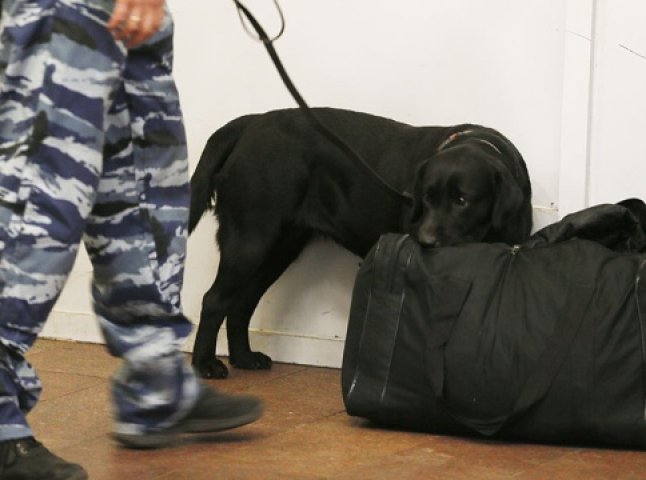 Ужгородські рятувальники перевіряли підозрілу сумку на наявність вибухонебезпечного предмету