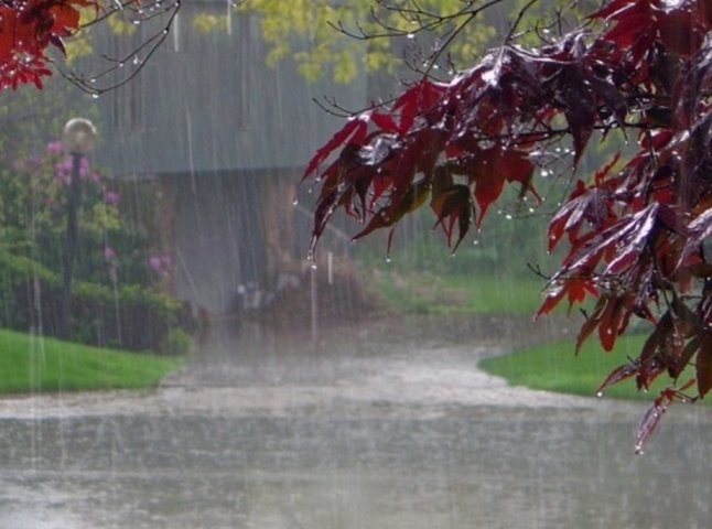 Синоптики попереджають про значні дощі на Закарпатті