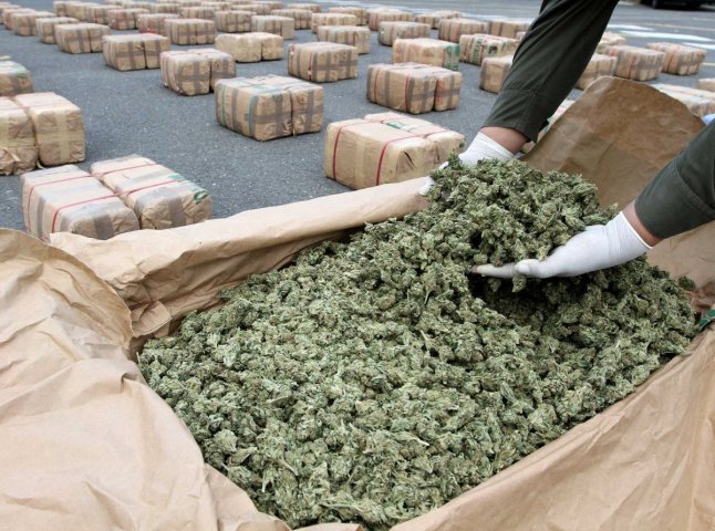 Правоохоронці виявили у помешканнях ужгородців наркотики на понад 10 тисяч гривень