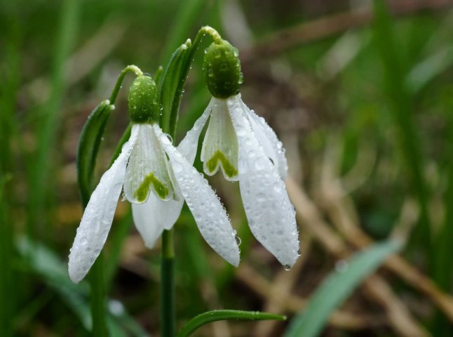 Україну накриє похолодання. Синоптики назвали дату