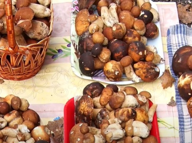 Грибний сезон на Закарпатті: у скільки обійдеться кілограм грибів