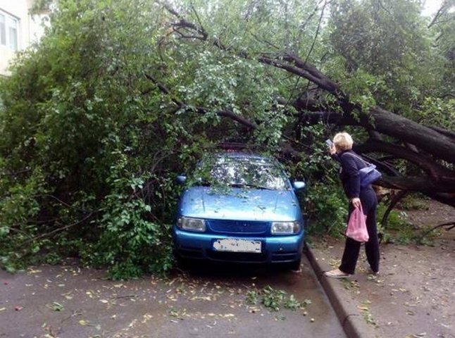 В одному з мікрорайонів Мукачева величезне дерево впало на машину
