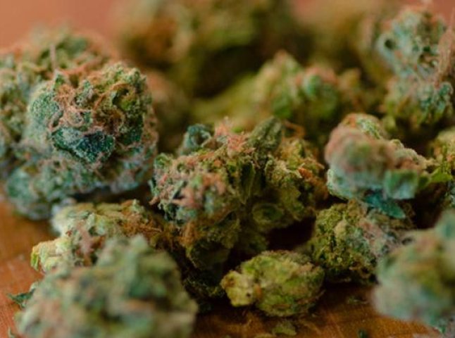 Поліцейські виявили у двох ужгородців марихуану