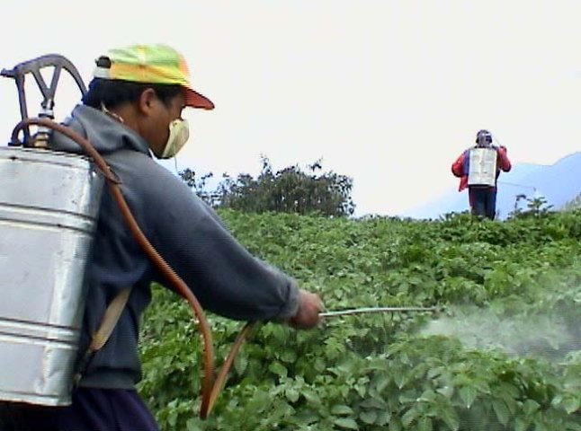 На Мукачівщині зберігаються небезпечні пестициди
