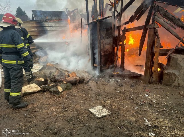 Вогнеборці розповіли про пожежу, яку вчора гасили