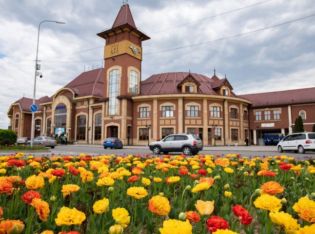 В Ужгороді розквітли понад 40 000 тюльпанів