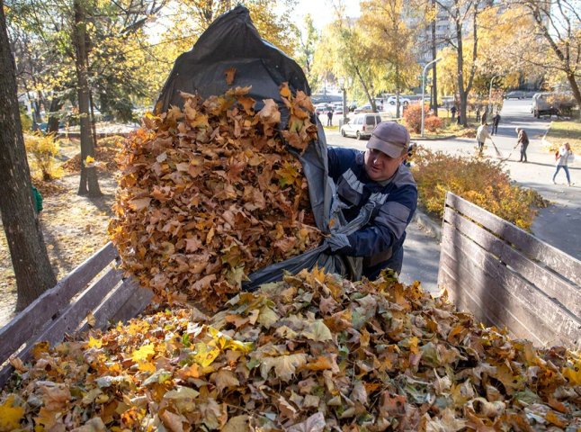 У Мукачеві сьогодні стартував місячник благоустрою