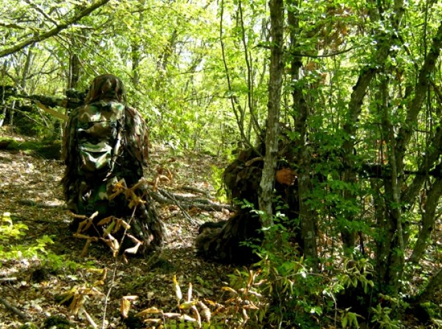 У лісі, неподалік Мукачева, помітили скупчення людей у камуфляжній формі