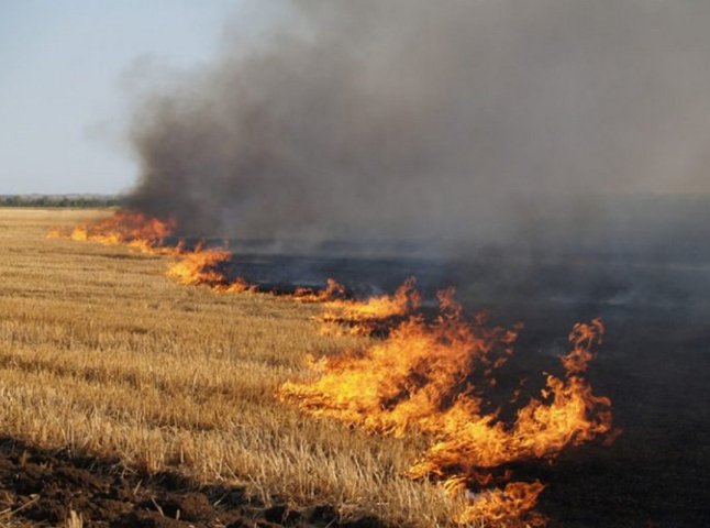 Рятувальники розповіли, де на Закарпатті зараз найчастіше палять суху траву