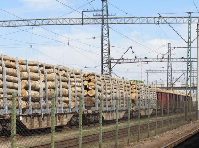 Затриманий потяг з незаконною деревиною відправили з Чопа в Мукачево