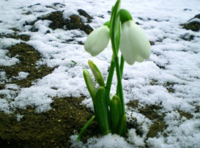 У закарпатців будуть весняні та літні канікули