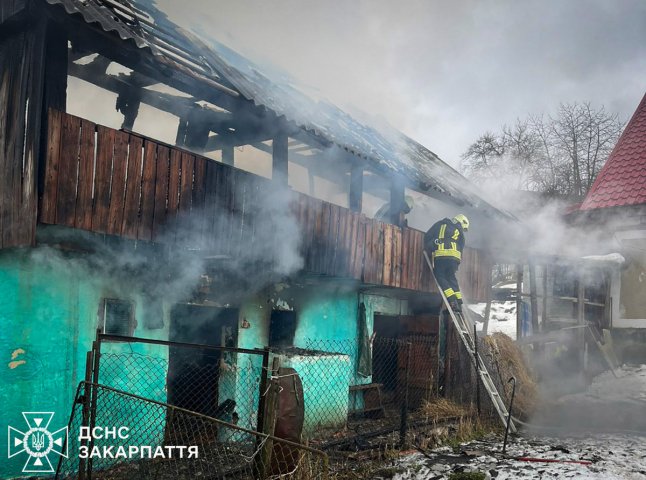 Рятувальники розповіли про пожежу, яку гасили у Нижньоворітській громаді