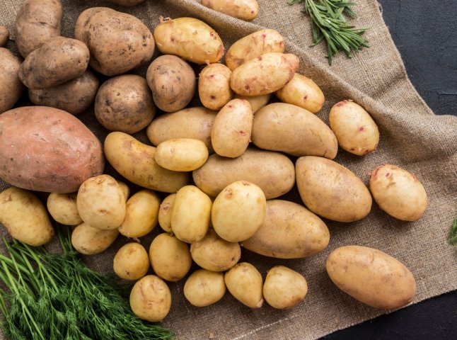 Ціни б’ють рекорди: скільки коштує картопля на ринку у Мукачеві