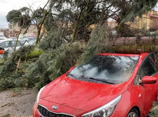 Повалені дерева та розтрощені машини: Чехію накрила потужна негода, – ЗМІ