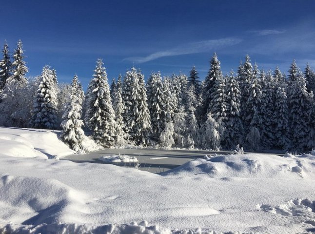 Зимова казка: мережею ширяться неймовірні світлини гір Закарпаття