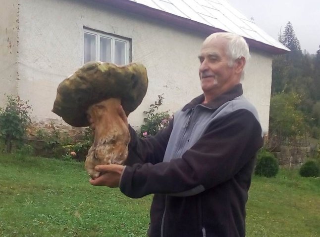 Чоловік знайшов величезного білого гриба: опубліковано фото