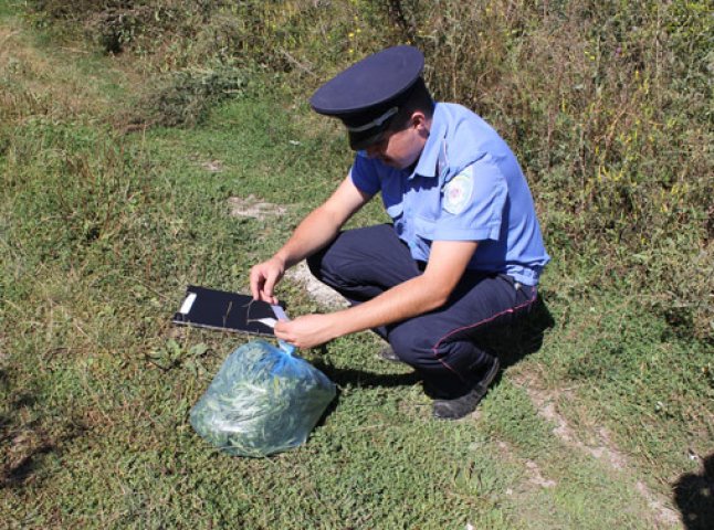 Правоохоронці під час умовної назви "Мак-2014"  на Іршавщині у молодого чоловіка виявили та вилучили рослини коноплі