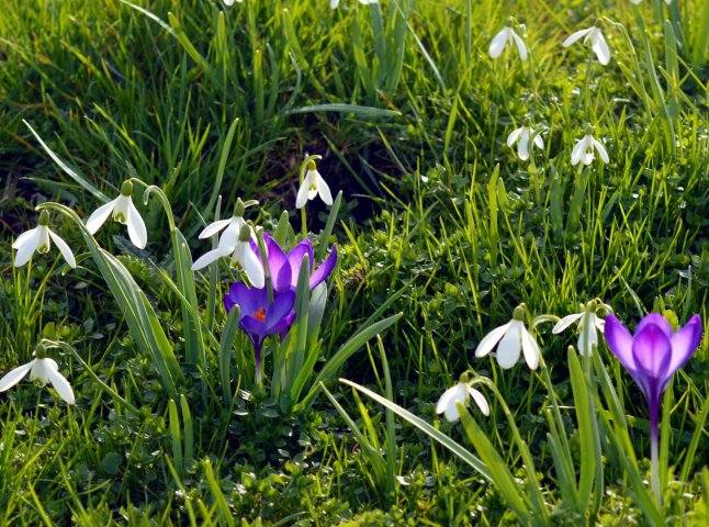 Синоптики розповіли, якою буде погода в останні вихідні березня
