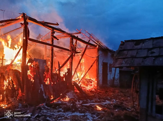 На Берегівщині вирувала пожежа: вогонь гасили як місцеві мешканці, так і рятувальники