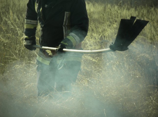 Кількість пожеж на Закарпатті сягнула критичної позначки, – ДСНС