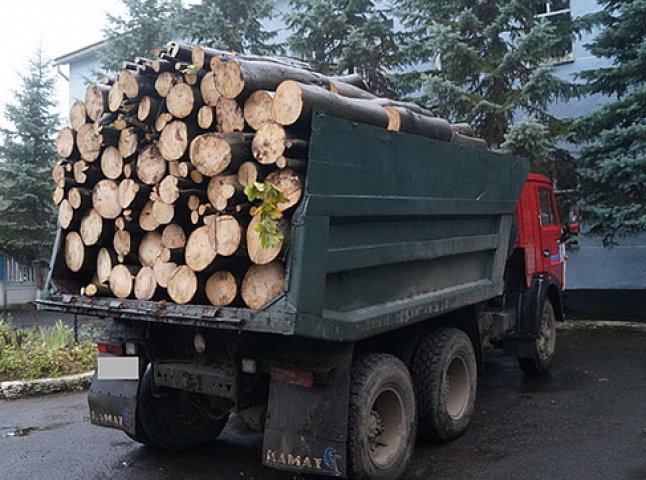Незаконний вивіз деревини завершився для жителя Іршавщини зустріччю з міліціонерами