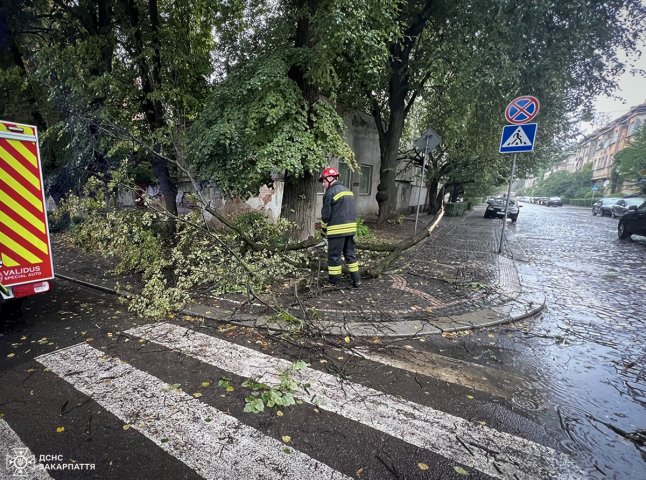 Рятувальники розповіли про два випадки, які стались в Ужгороді