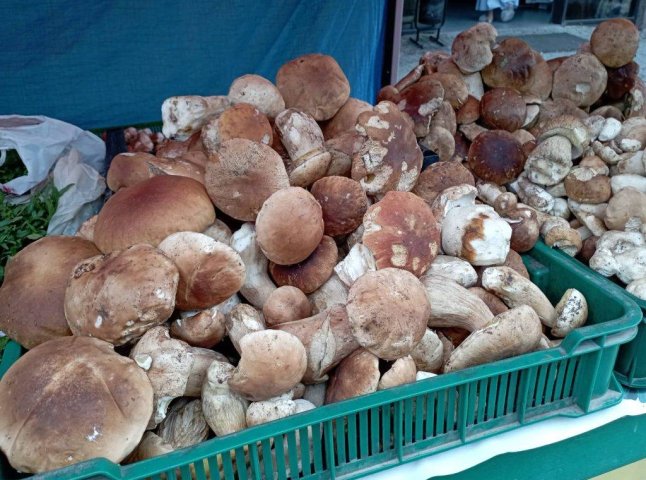 На Закарпатті продають чимало грибів, але люди скаржаться на ціни