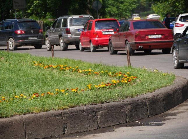 Із висаджених 800 квіток в Ужгороді вандали вже знищили близько 300 