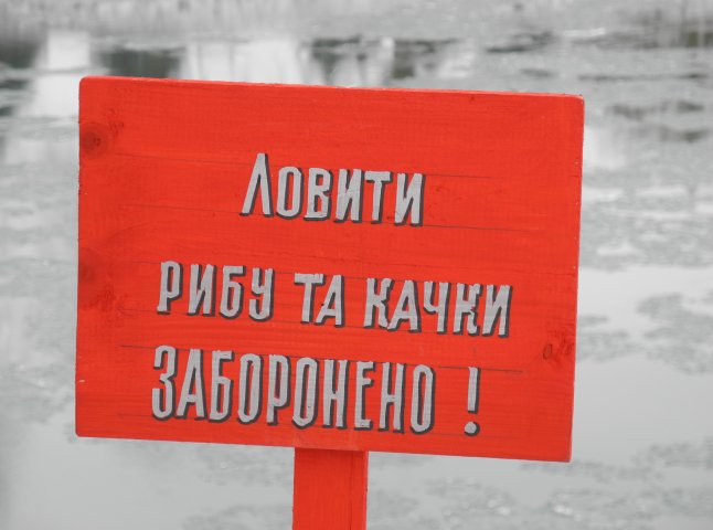 В Ужгороді ловлять рибу не дивлячись на заборону (ФОТО)
