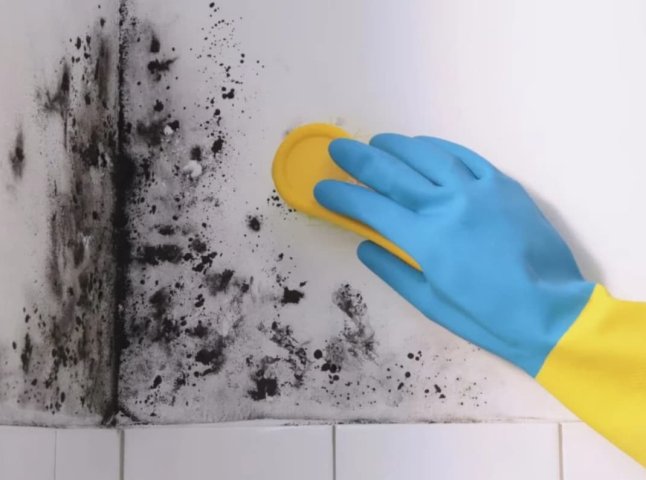 Як вивести чорну цвіль на стінах без «хімії»: дієвий лайфхак