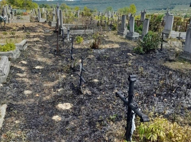 Пожежа на цвинтарі: рятувальники показали фото наслідків