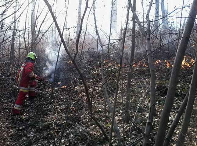 Рятувальники тричі ліквідовували пожежі в лісових масивах Закарпаття (ФОТО)