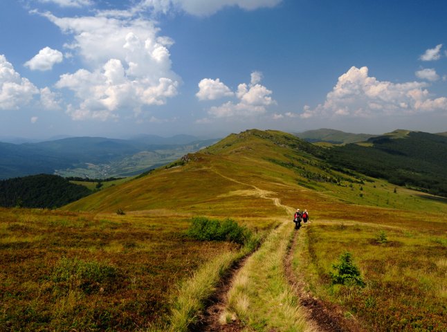 Скільки податків приніс туризм Закарпатській області за 2023 рік