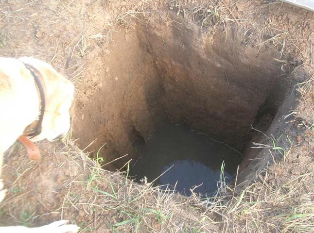На Мукачівщині 9-річний хлопчик утопився у ямі з водою для птиці