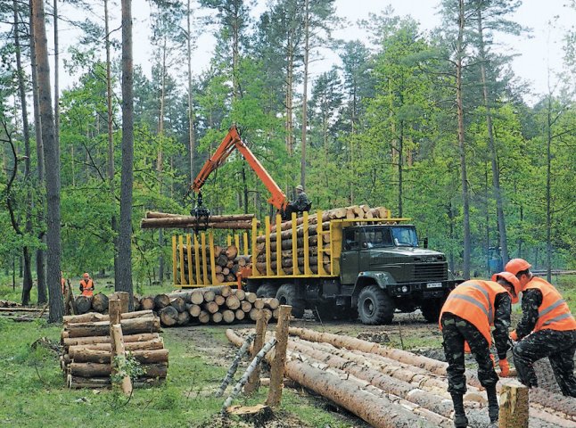 У "Великобичківському лісомисливському господарстві" прокуратура виявила масу порушень