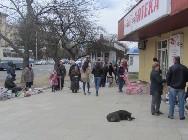 Ужгород обзавівся новим стихійним ринком, який "охороняють" бродячі собаки