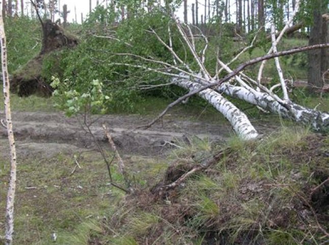 Шквальний вітер пошкодив дахи будинків закарпатці