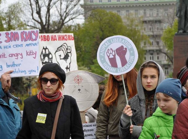В Ужгороді анонсували проведення маршу за права тварин
