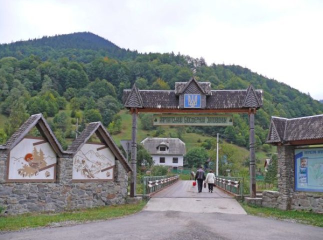 Цього року Карпатський біосферний заповідник відзначатиме 45-річний ювілей