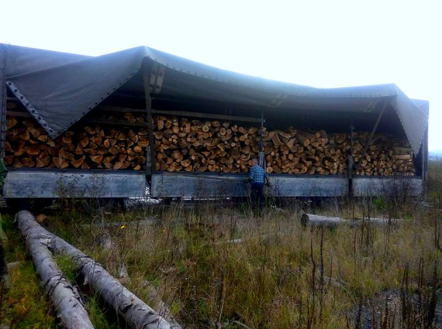 На Великоберезнянщині зловили набиту дровами вантажівку