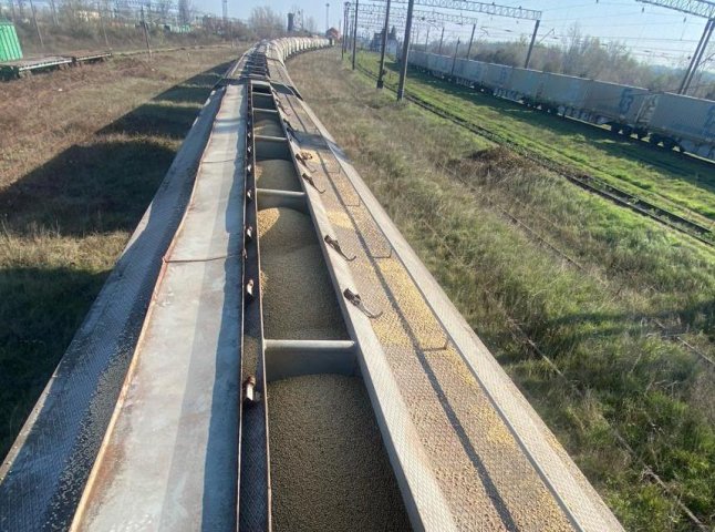 Митники виявили незаконний експорт агропродукції за фіктивними документами Митники виявили незаконний експорт агропродукції за фіктивними документами