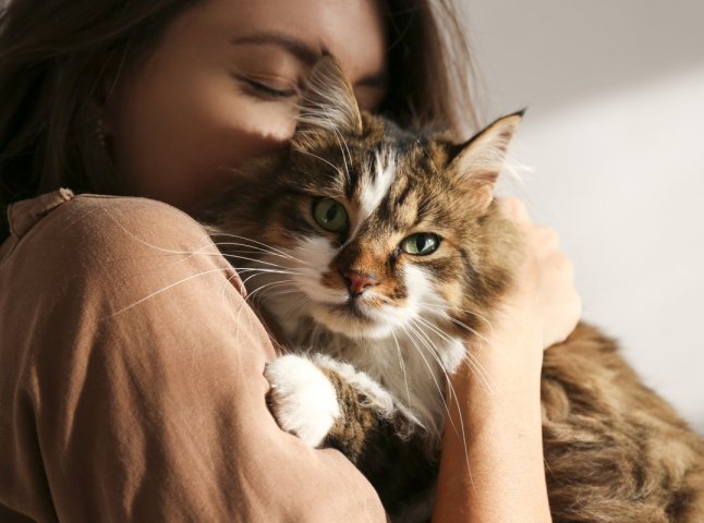 5 речей, які не варто робити: чого радять уникати власникам котів